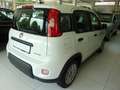 Fiat Panda HYBRID 1,0  51 kW ( 70 PS ) PDC Klima 5 Sitzer Blanco - thumbnail 4