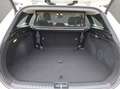 Kia Ceed / cee'd CEED_SW 1.5T 140 DCT7 SPI TEC Zilver - thumbnail 19