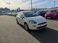 Fiat Punto 1.4 More,  Klimaauto., PDC Weiß - thumbnail 7