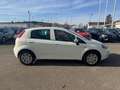 Fiat Punto 1.4 More,  Klimaauto., PDC Weiß - thumbnail 6