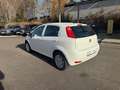 Fiat Punto 1.4 More,  Klimaauto., PDC Weiß - thumbnail 3