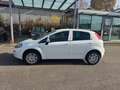 Fiat Punto 1.4 More,  Klimaauto., PDC Weiß - thumbnail 2