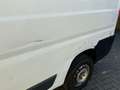 Citroen Jumper 2.2 HDi L1H1 FAP (EU5) Nieuwe Motor Fehér - thumbnail 14