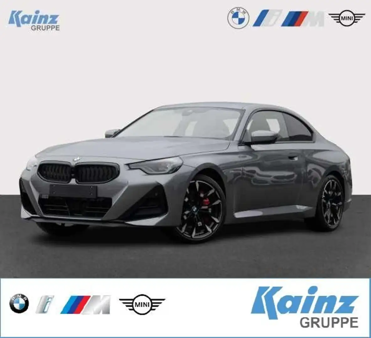BMW 230 i M-Paket/H&K/AHK/360* Gris - 1