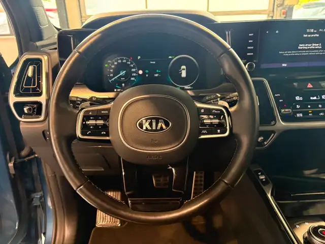Kia Sorento view 10