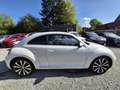 Volkswagen Beetle R-Line DSG Automatik*211 PS*Zahnriem Neu Weiß - thumbnail 5
