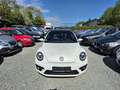 Volkswagen Beetle R-Line DSG Automatik*211 PS*Zahnriem Neu Weiß - thumbnail 2