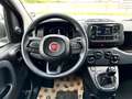 Fiat Panda Panda 1.0 firefly hybrid s Blu/Azzurro - thumbnail 7