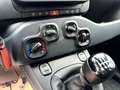 Fiat Panda Panda 1.0 firefly hybrid s Blu/Azzurro - thumbnail 14