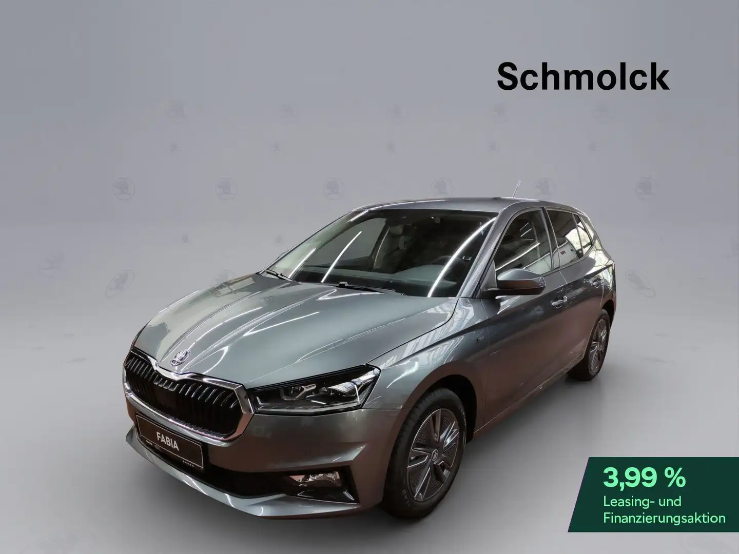 Skoda Fabia Tour 1.0 TSI 95PS KESSY LED DAB RFK PDC Grau - 1