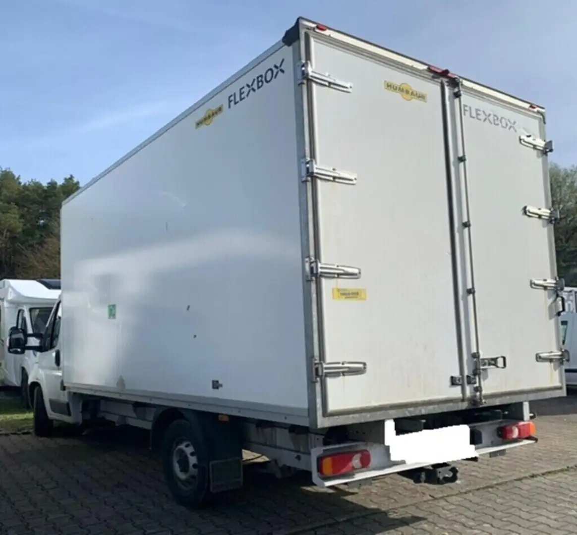 Fiat Ducato Koffer Automatik Blanc - 2