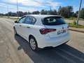 Fiat Tipo 1.3 Mjt S&S SW Pop AUTOVETTURA Bianco - thumbnail 7