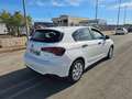 Fiat Tipo 1.3 Mjt S&S SW Pop AUTOVETTURA Bianco - thumbnail 5