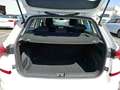 Skoda Kamiq Ambition 1.0 TSI AHK VC SmartLink PDC Blanc - thumbnail 16