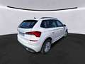 Skoda Kamiq Ambition 1.0 TSI AHK VC SmartLink PDC Blanc - thumbnail 2