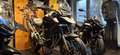 Triumph Tiger 1200 GT EXPLORER AKTIONSFAHRZEUG - thumbnail 1