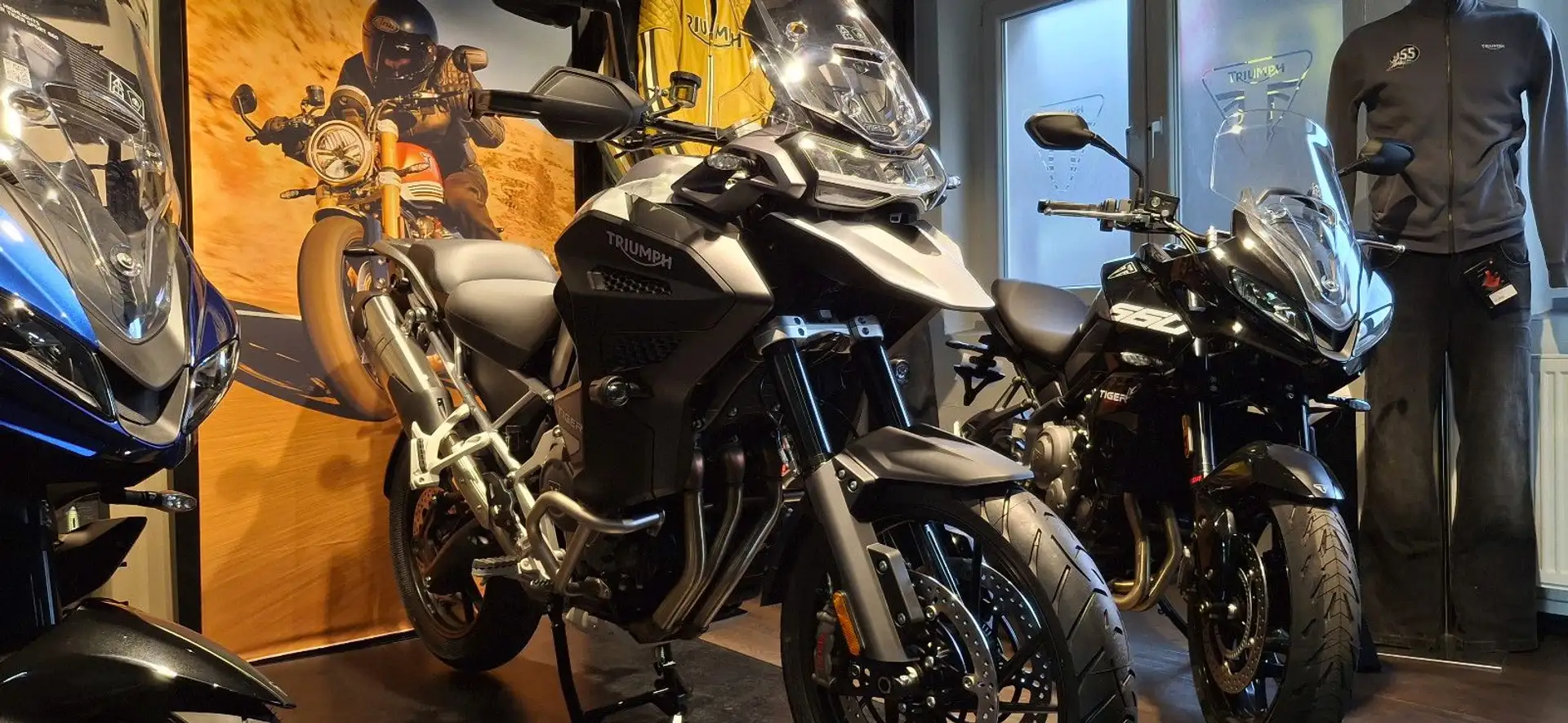 Triumph Tiger 1200 GT EXPLORER AKTIONSFAHRZEUG - 1