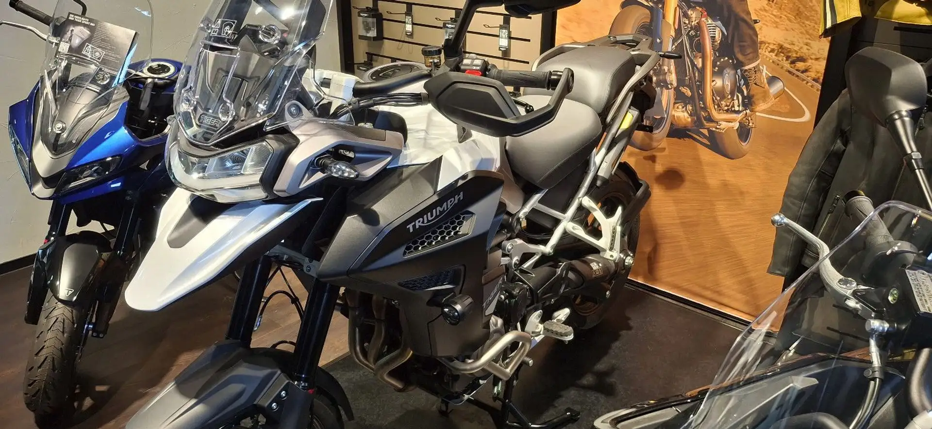 Triumph Tiger 1200 GT EXPLORER AKTIONSFAHRZEUG - 2