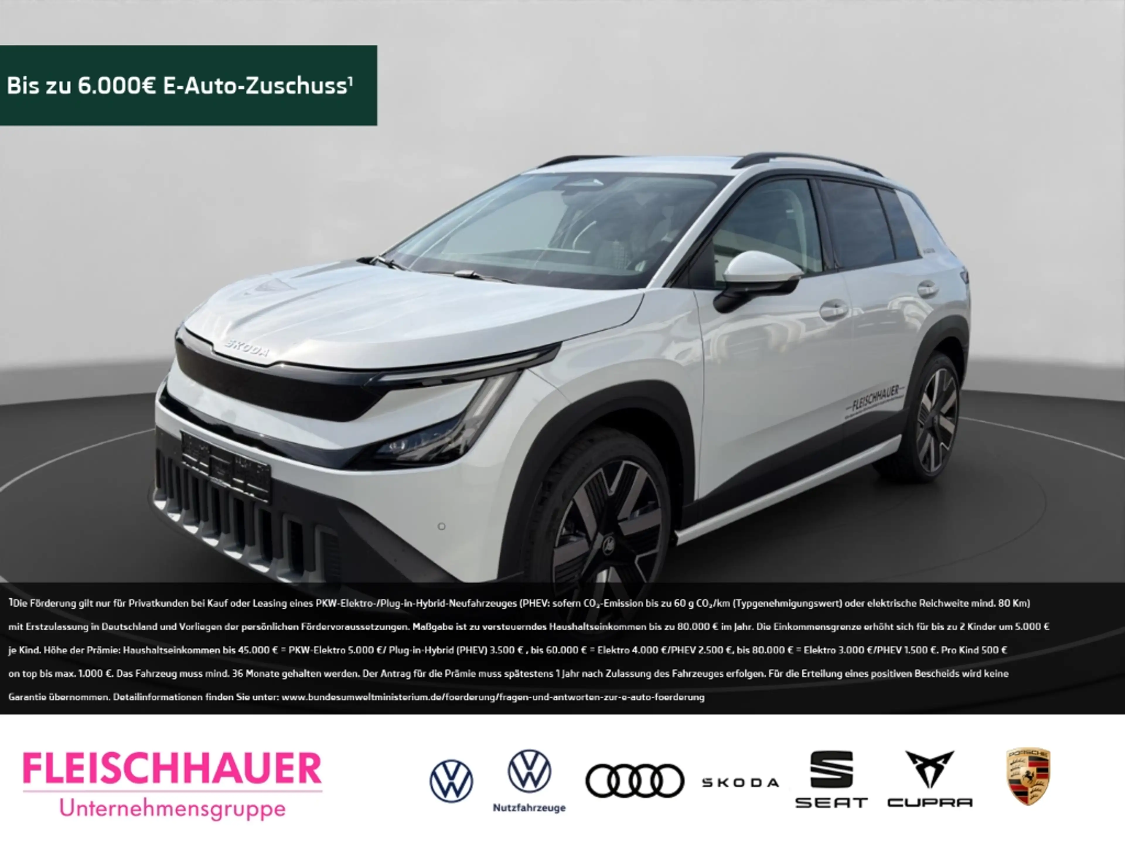 Skoda Epiq Edition Selection 55 LED Navi CarPlay DAB Tel.-Vor