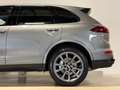 Porsche Cayenne S Diesel 4.2 V8 TDI BOSE*KAM*TOTW*PANO Gris - thumbnail 6