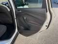 Ford C-Max 2.0 TDCi 150CV Powershift Start&Stop Titanium X Bianco - thumbnail 14