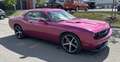 Dodge Challenger SRT8 6,1L FURIOUS FUSHIA 069/400 - thumbnail 15