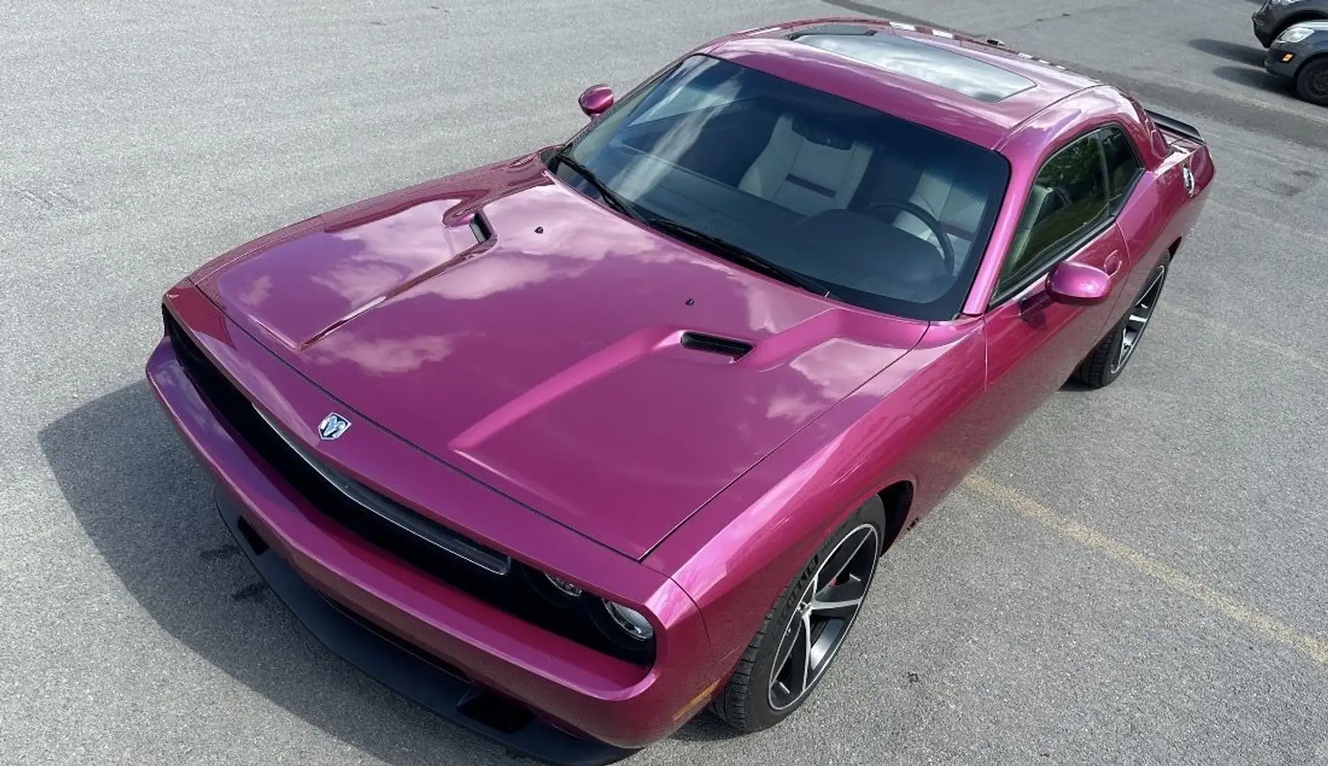 Dodge Challenger SRT8 6,1L FURIOUS FUSHIA 069/400 - 2