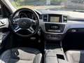 Mercedes-Benz ML 250 ML 250 CDI BlueTec 4Matic 1.Hand AHK Schwarz - thumbnail 9