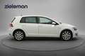 Volkswagen Golf GTE 1.4 TSI - Navi, Clima, PDC Blanco - thumbnail 12