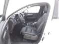 Volvo XC40 Inscription Geartronic 2.0 Diesel 150CV Bianco - thumbnail 9