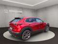 Mazda CX-30 SELECTION ++BOSE+Matrix-LED+360°Kamera++ Rojo - thumbnail 5