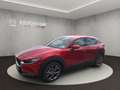 Mazda CX-30 SELECTION ++BOSE+Matrix-LED+360°Kamera++ Rojo - thumbnail 1