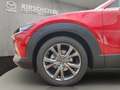 Mazda CX-30 SELECTION ++BOSE+Matrix-LED+360°Kamera++ Rood - thumbnail 19