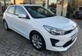 Kia Rio Vision - Navi CAM EPH SHZ EPH Gar uvm. Weiß - thumbnail 7
