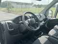Fiat Ducato Ducato 35 2.2 Mjt 140CV PLM-TM Furgone Bianco - thumbnail 5