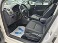 Volkswagen Golf Plus Family 1,4 Weiß - thumbnail 6