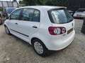 Volkswagen Golf Plus Family 1,4 Weiß - thumbnail 4
