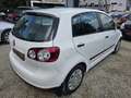 Volkswagen Golf Plus Family 1,4 Weiß - thumbnail 2