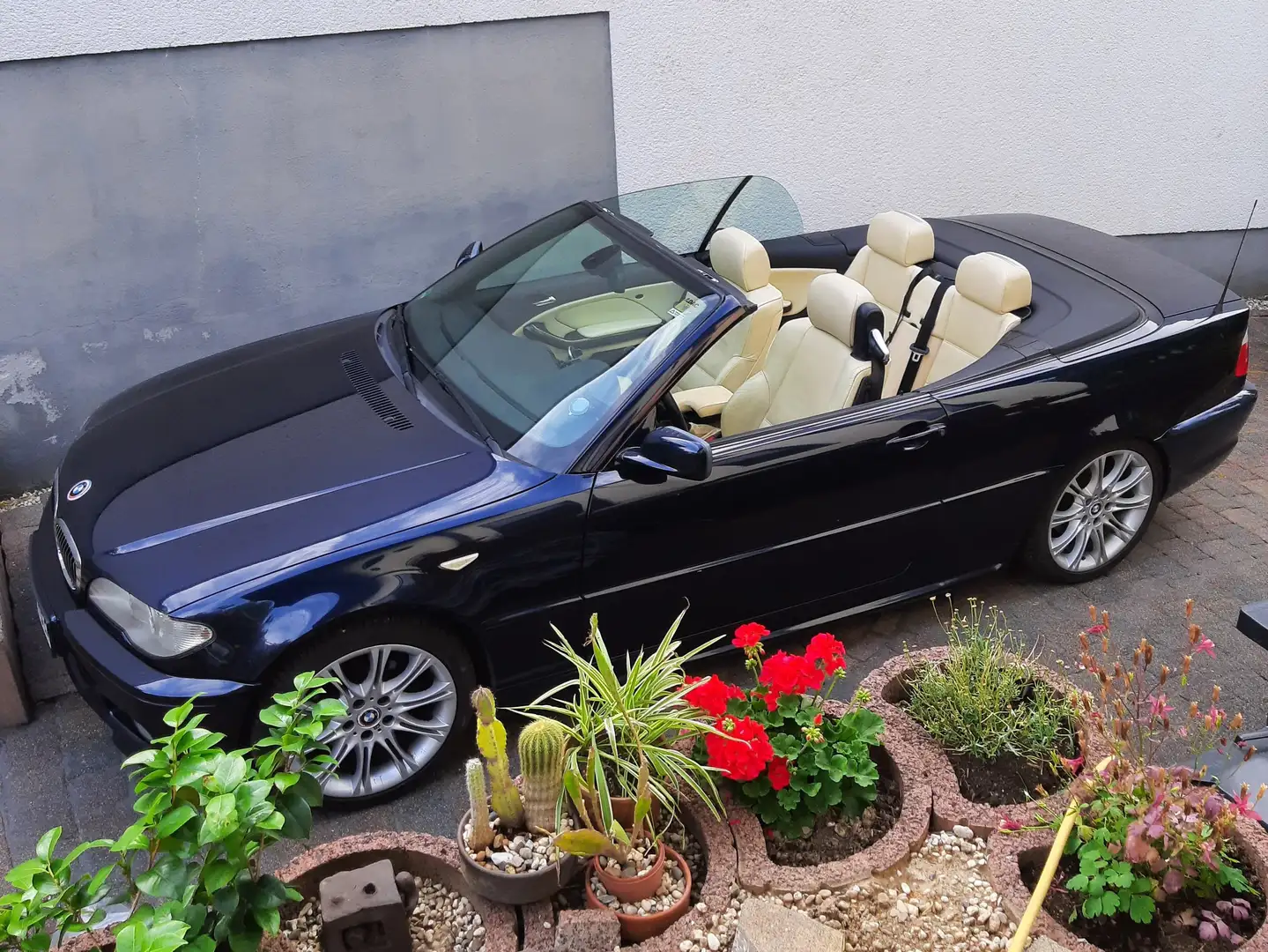 BMW 325 325 Ci Aut.Edition Exclusive Blue - 1