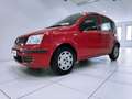 Fiat Panda 1.2 Dynamic Rosso - thumbnail 14