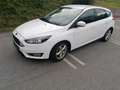 Ford Focus - thumbnail 1