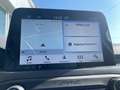 Ford Focus Focus V 2018 SW SW 1.5 ecoblue Titanium 120cv Nero - thumbnail 7