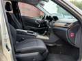 Mercedes-Benz E 250 CDI Elegance|AUTOMAAT|PANNO|1EIG|GOED-ONDERHOUDEN Beige - thumbnail 10