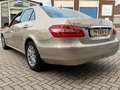 Mercedes-Benz E 250 CDI Elegance|AUTOMAAT|PANNO|1EIG|GOED-ONDERHOUDEN Beige - thumbnail 6