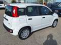 Fiat Panda 1.0 70 ch Hybrid BSG S/S Icone+ kit anti-crevaison Blanc - thumbnail 3