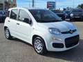 Fiat Panda 1.0 70 ch Hybrid BSG S/S Icone+ kit anti-crevaison Blanc - thumbnail 2