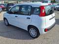 Fiat Panda 1.0 70 ch Hybrid BSG S/S Icone+ kit anti-crevaison Blanc - thumbnail 4