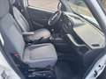 Fiat Doblo 1.3 Multijet SX Blanc - thumbnail 9