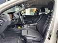 BMW 116 1-Serie (f40) 116i 109pk Executive SportLine | cam Blanc - thumbnail 13