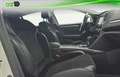 Renault Megane 1.2 TCe Energy Intens 97kW Blanco - thumbnail 13